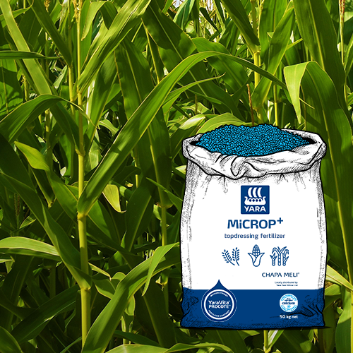 MiCROP Mbolea ya Kupandia