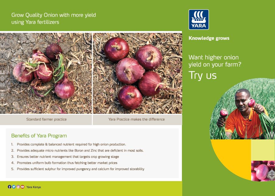 SD